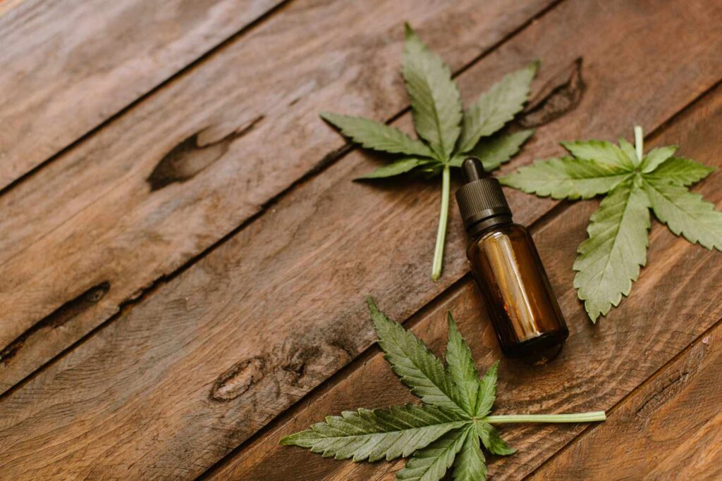 CBD Oil Lotion for Pet Skin Conditions in Victoria