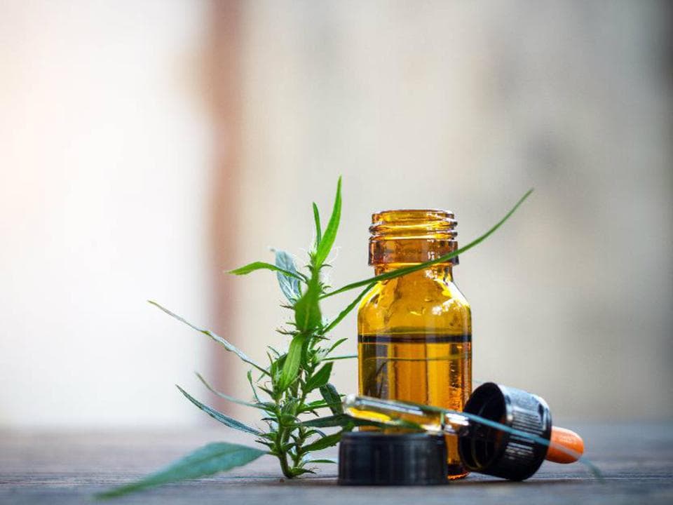 Can CBD Oil Lotion Help with Eczema and Psoriasis