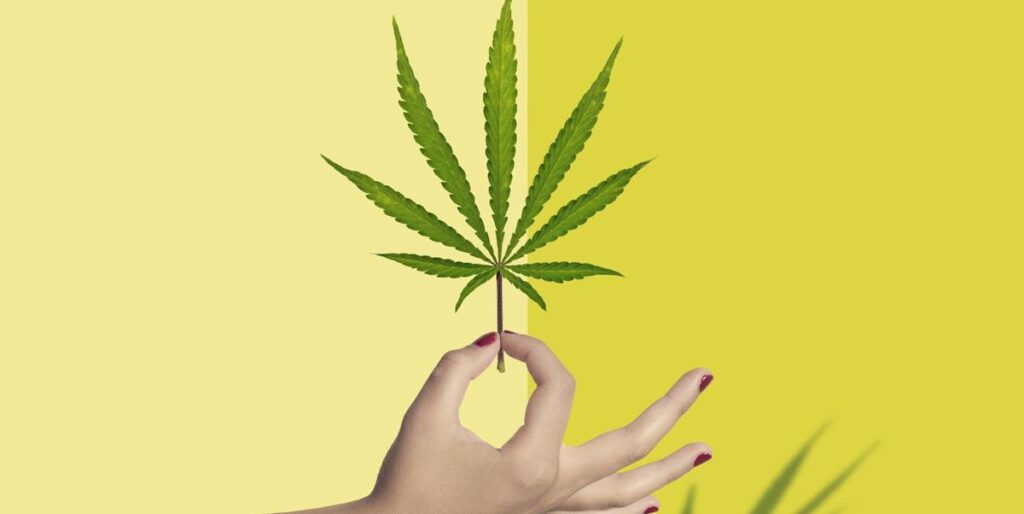 CBD oil for hormonal imbalance