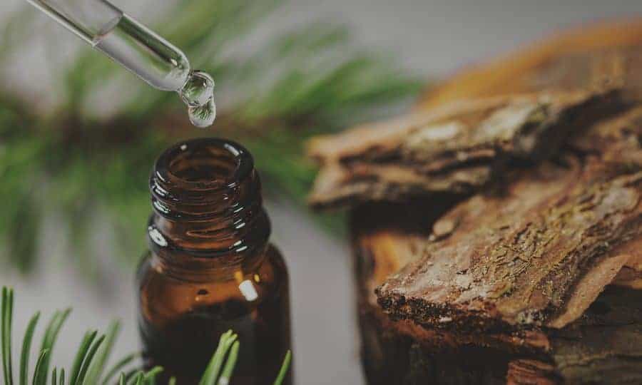 CBD for digestive issue