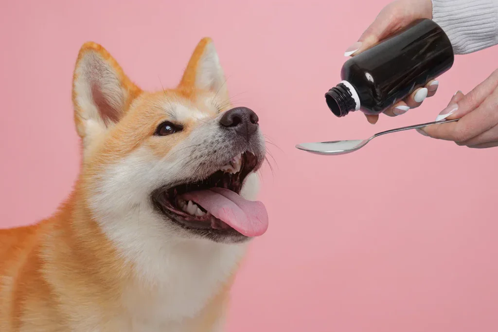 CBD Oil for Dogs